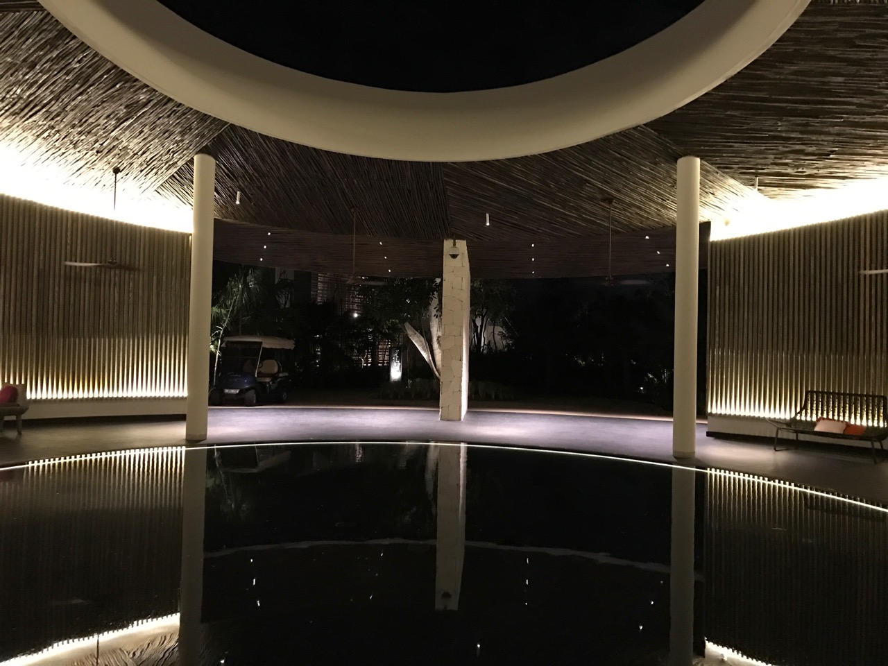 Andaz Mayakoba Lobby the cenote