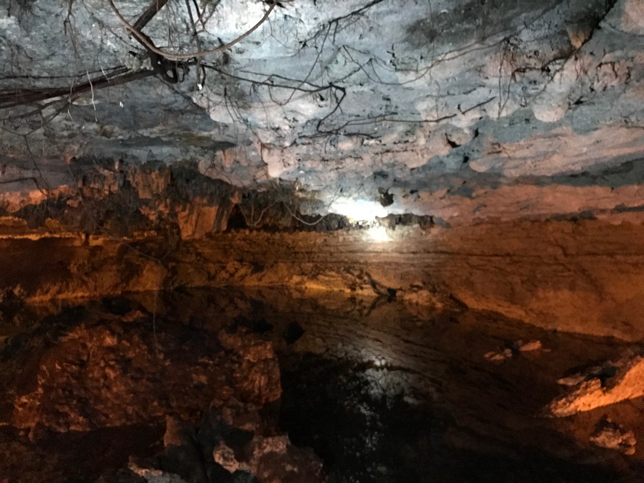 Mayakoba Cenote